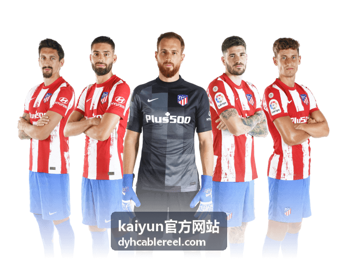 kaiyun官方网站实时比分数据说明配图